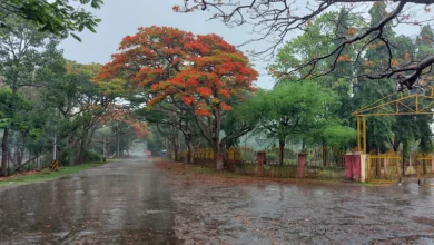 Jharkhand Weather Forecast : रांची में झमाझम बारिश, वज्रपात से 5 बकरियों की मौत, कब तक हैं बारिश के आसार